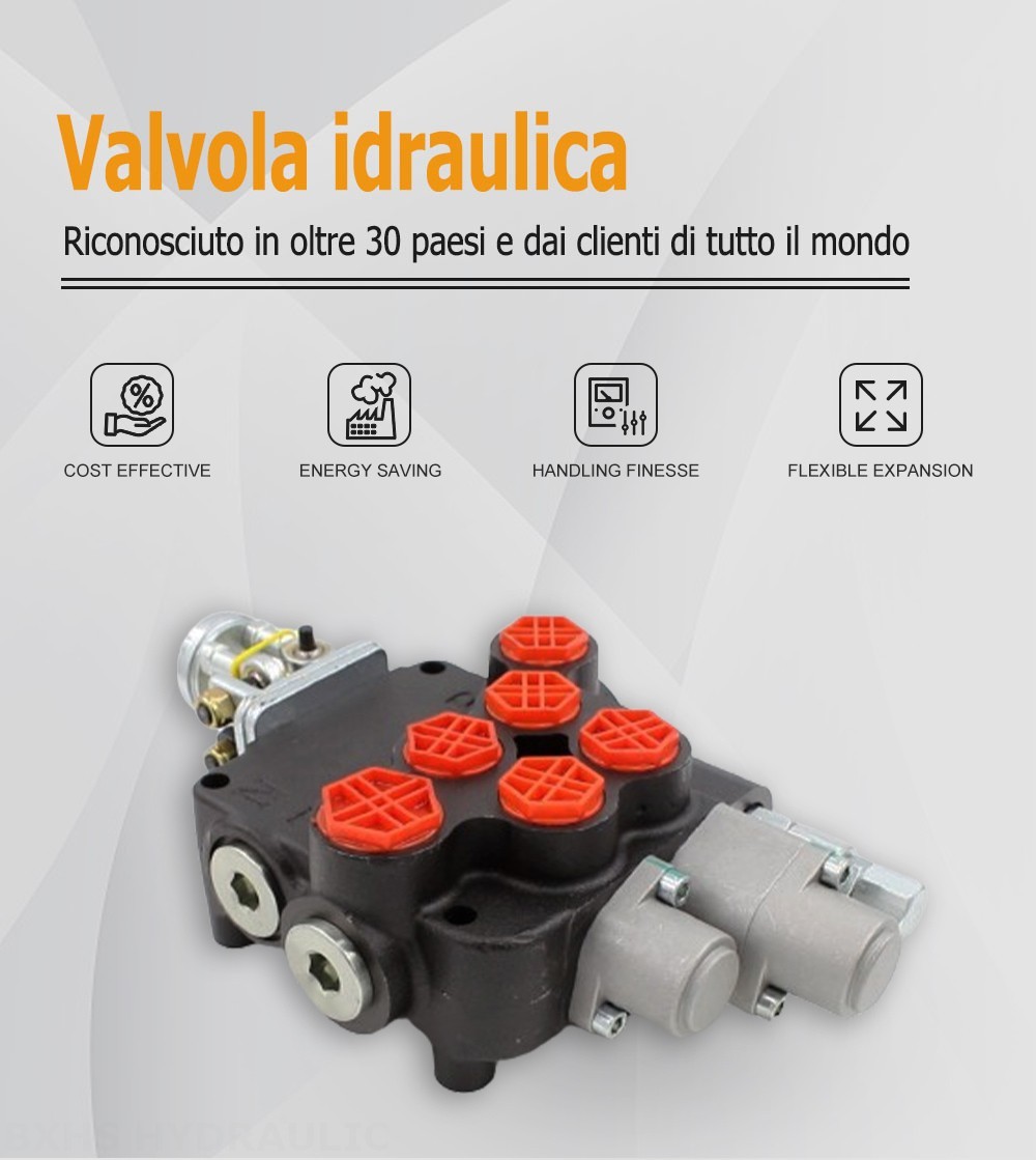 P80-G12-G34 Manuale e joystick 2 Spool Valvola direzionale monoblocco